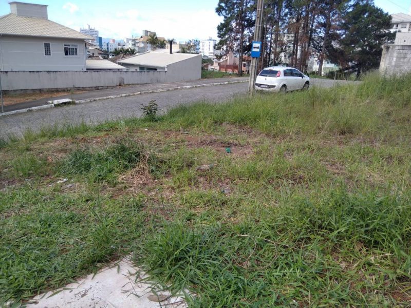 WhatsApp Image 2021-11-17 at 10.20.54 (1)