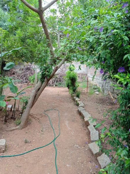 WhatsApp Image 2022-05-23 at 15.42.19 (1)