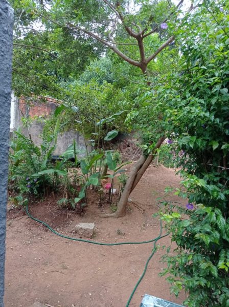 WhatsApp Image 2022-05-23 at 15.42.19